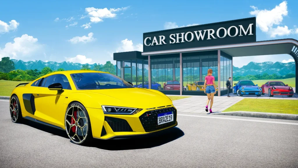 Huge Car Collection
